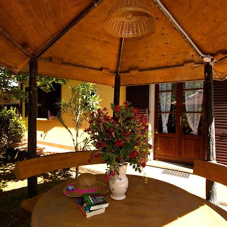 Agriturismo I Cerroni Montescudaio Eksteriør bilde