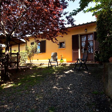 Agriturismo I Cerroni Montescudaio Eksteriør bilde