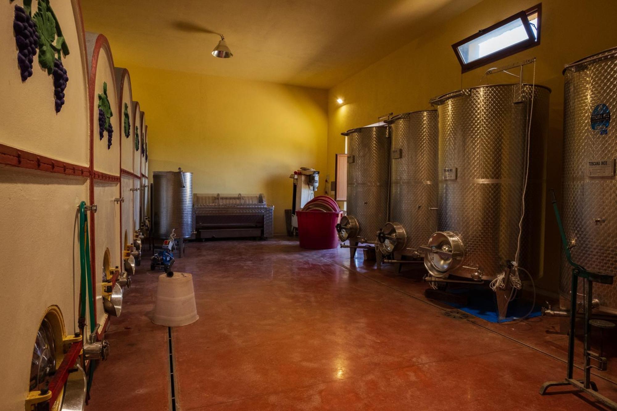 Agriturismo I Cerroni Montescudaio Eksteriør bilde