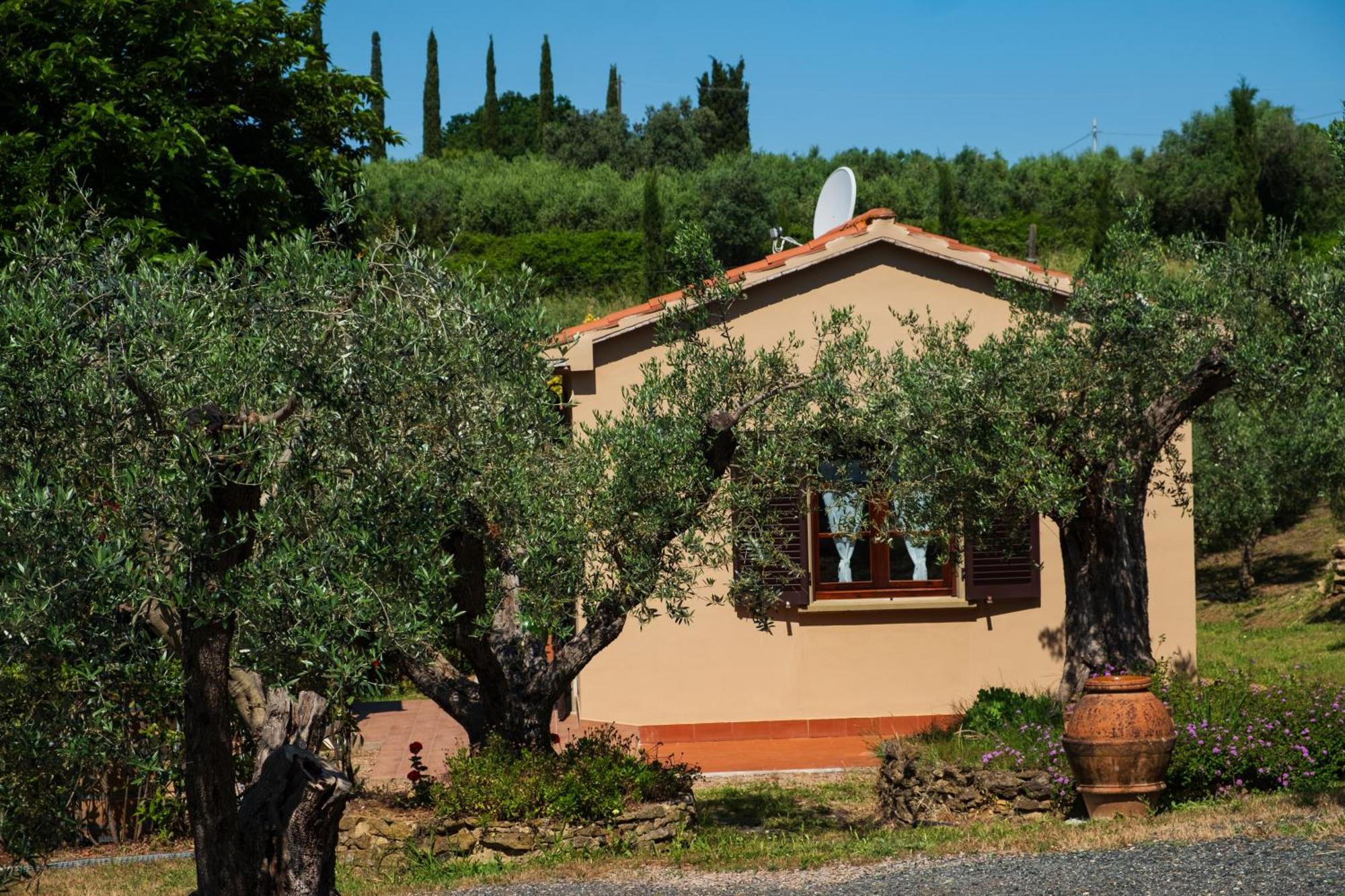 Agriturismo I Cerroni Montescudaio Eksteriør bilde