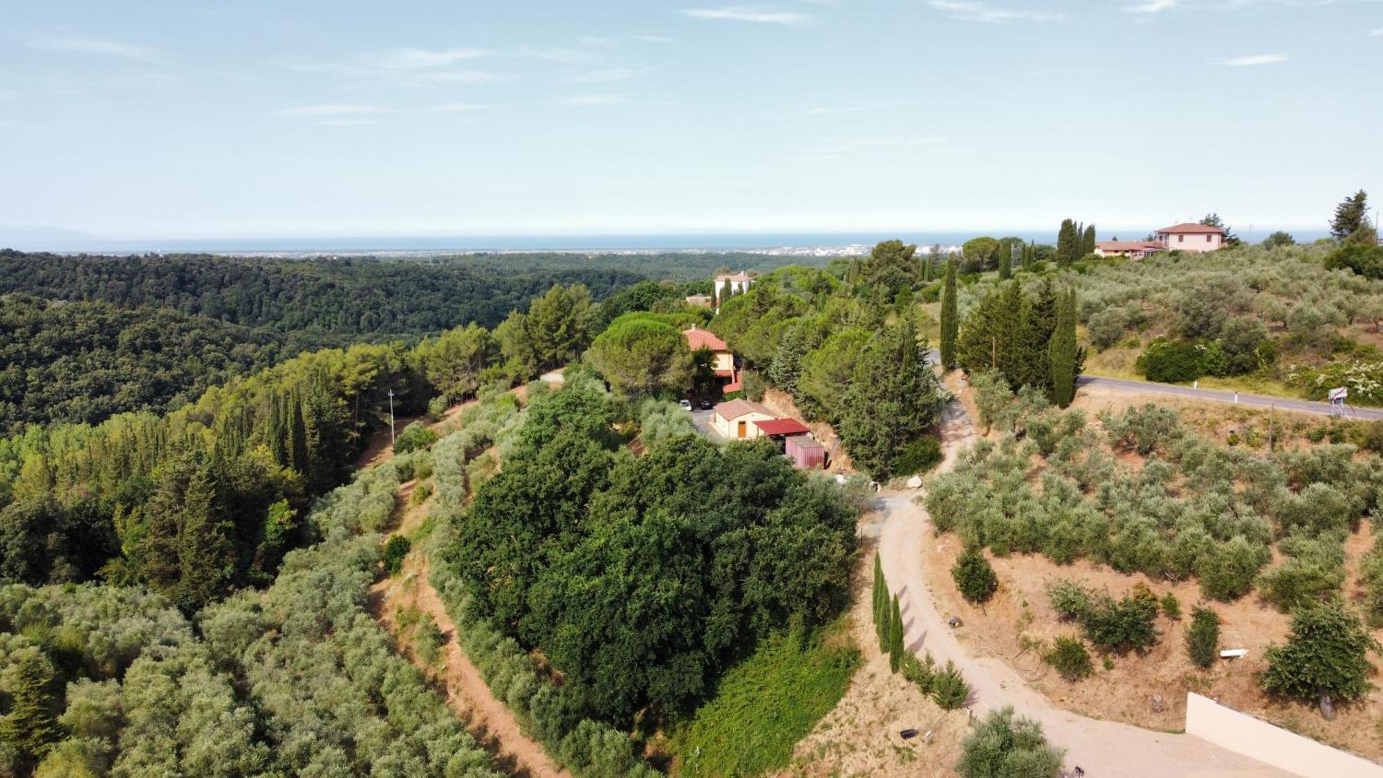 Agriturismo I Cerroni Montescudaio Eksteriør bilde