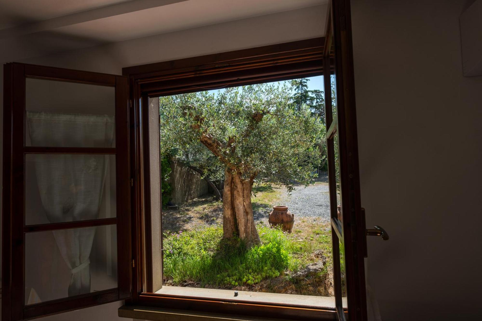 Agriturismo I Cerroni Montescudaio Eksteriør bilde